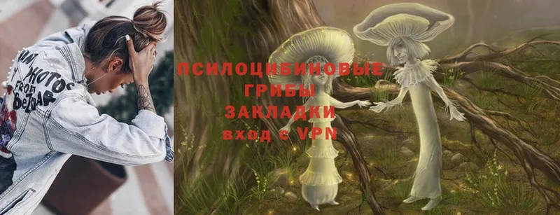 Галлюциногенные грибы Psilocybe  ссылка на мегу   Динская  сайты даркнета официальный сайт  наркота 